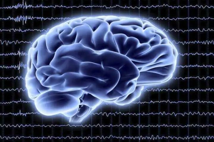 明星八卦心理学_世界明星黑料大瓜是谁发明的呢,_吃瓜文化