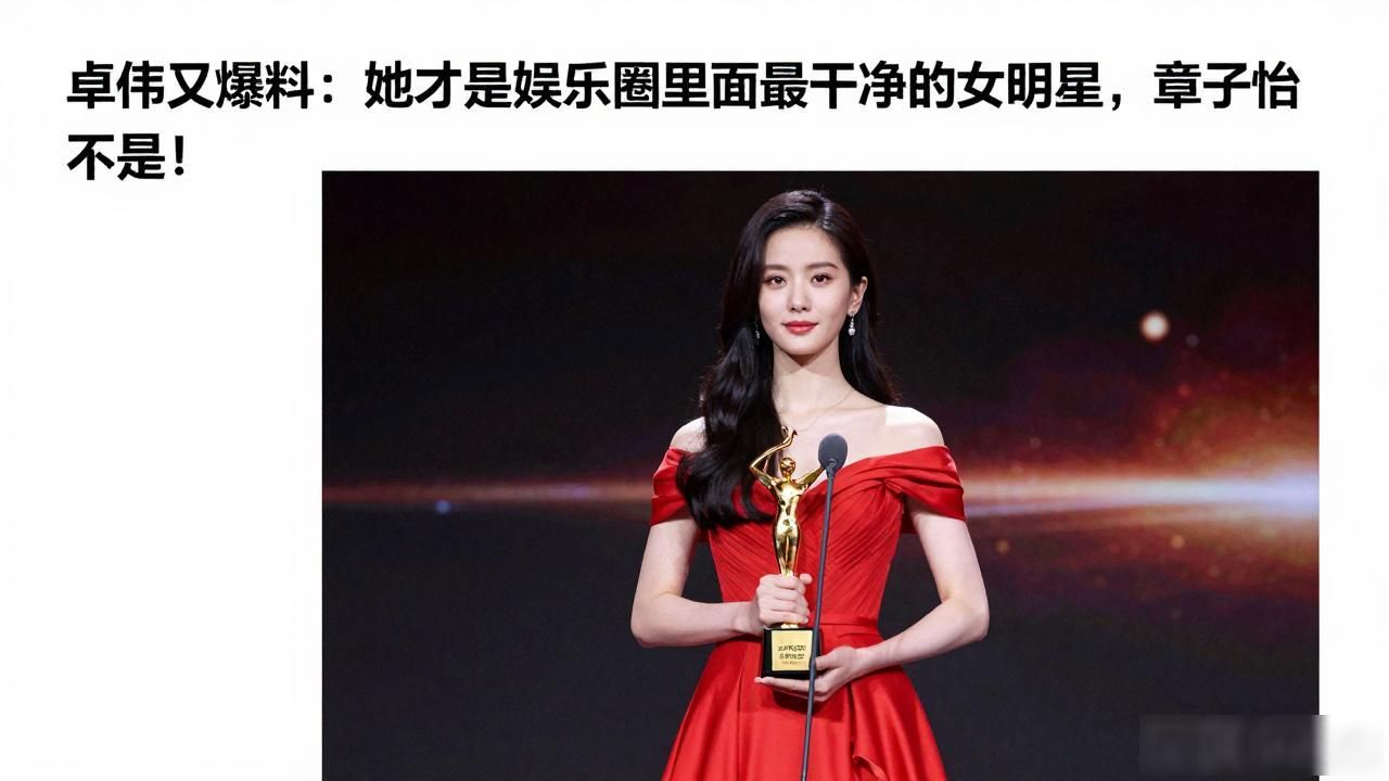 明星有很多黑料,_娱乐圈最干净明星 刘诗诗 中国第一狗仔卓伟评价 刘诗诗低调敬业