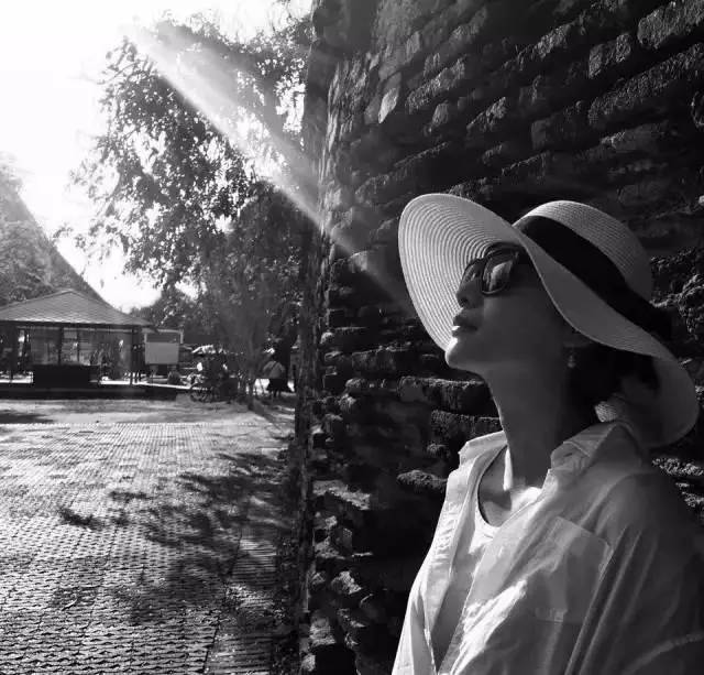徐静蕾才女多才多艺_徐静蕾导演作品票房破亿_娱乐圈知名女导演